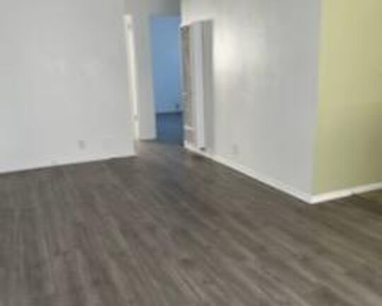 3rd image of 1233 Tamarind Ave #3