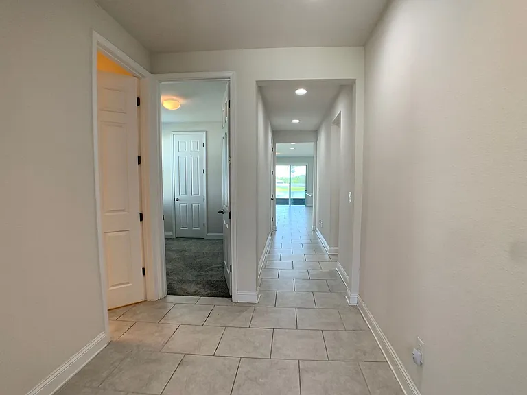 1499 Tropical Pine Cv — Photo 9