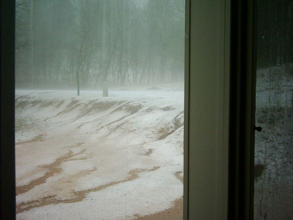 Lookin Out The Front Door  On JUNE 11 2009