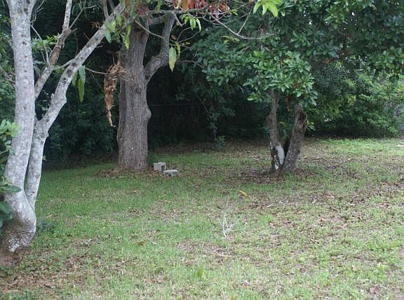 5th image of 10231 SE Williams Dr