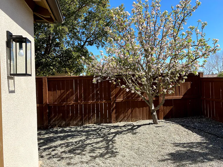 1020 Fava Ct — Photo 4