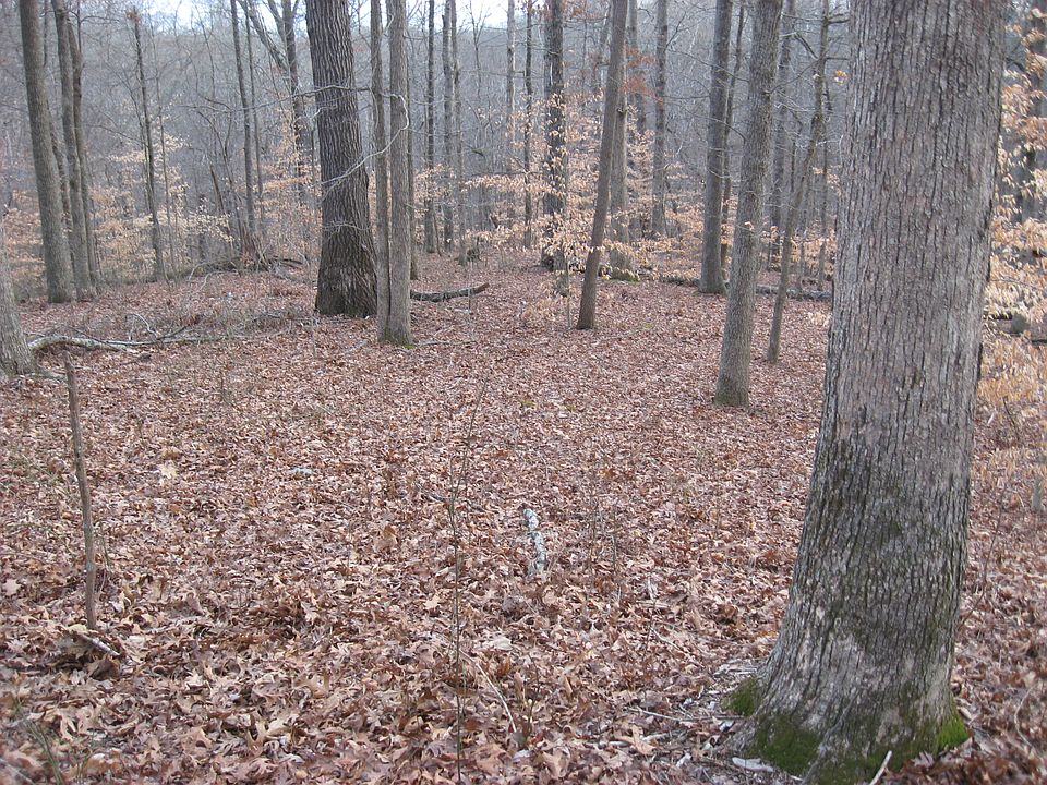 View away from back ridge