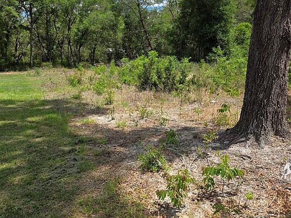 2nd image of 10679 SW 110TH COURT LOT 64