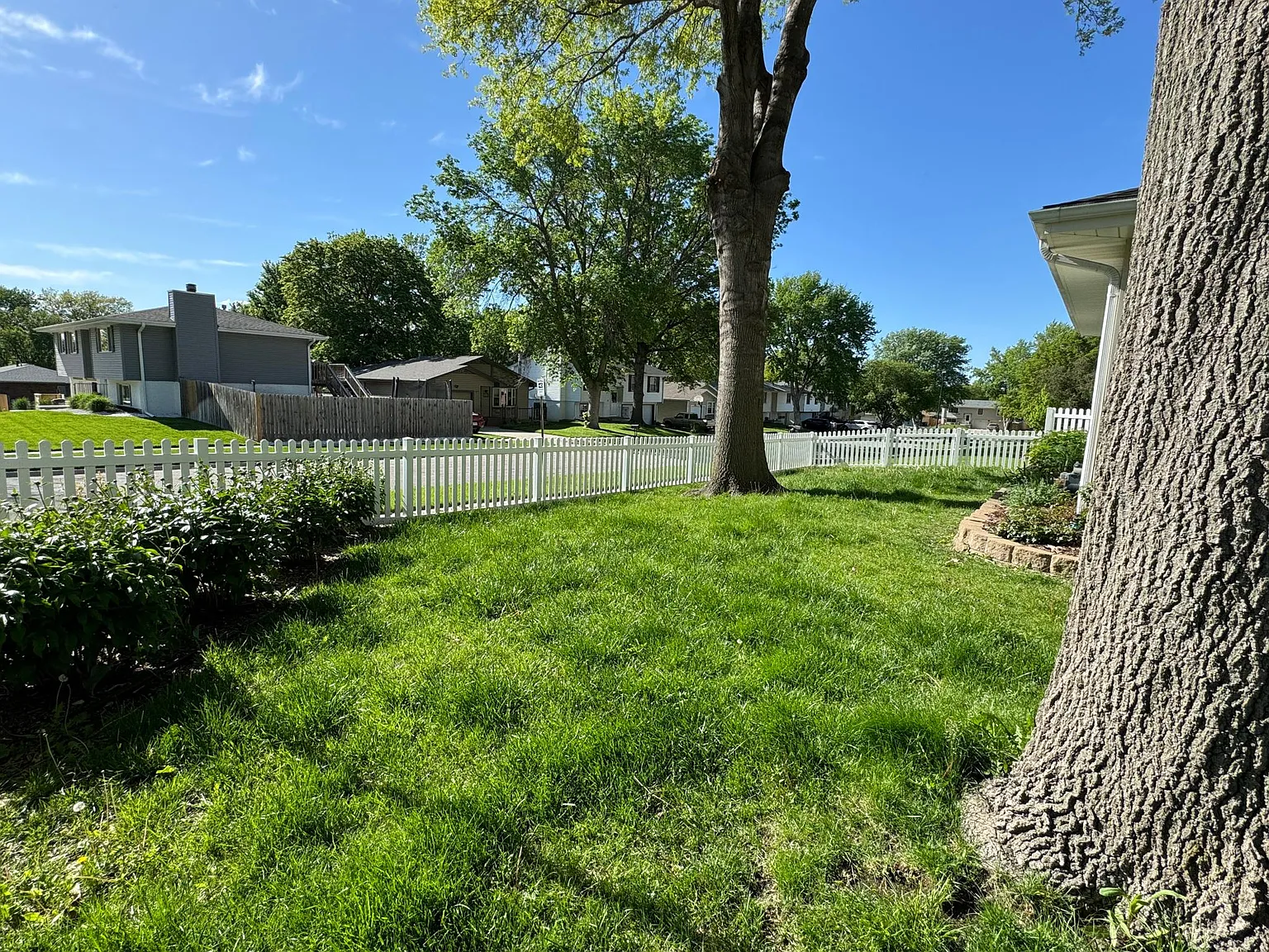 3 bed, 1708 sqft, $1,800 — Photo 3