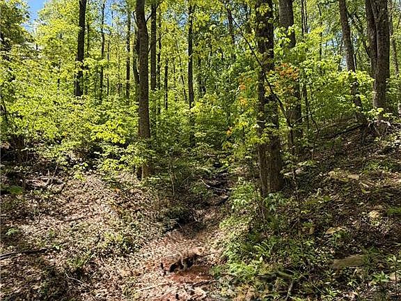 4th image of LOT 28 Bluff Ridge Rd #28