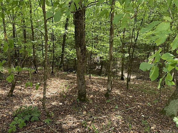 4th image of LOT 19 Denby Cove Dr