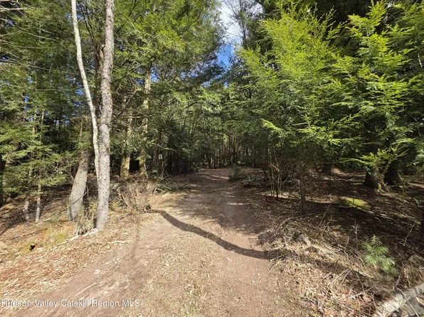 Tbd Eagle Avenue, Mongaup Valley, NY 12762