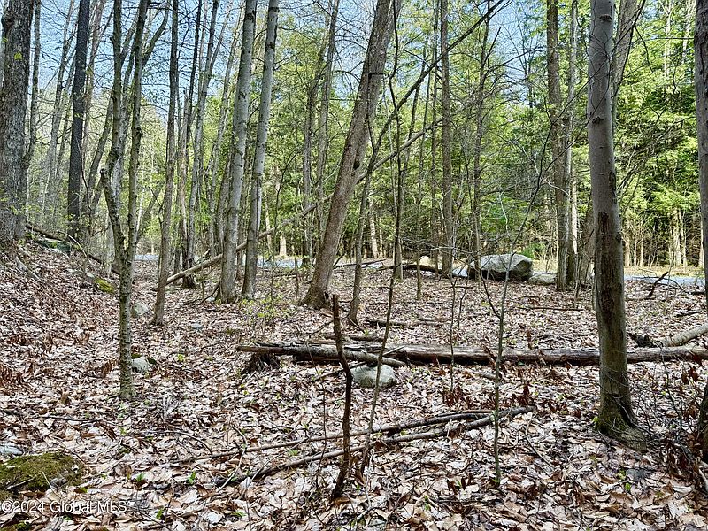 3rd image of L4 Hans Creek Road