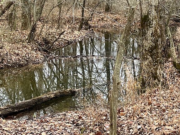 4th image of 11225 Highway 251