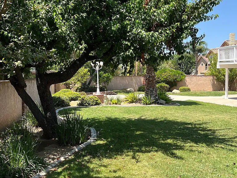 Beautifully Landscaped Back Yard
