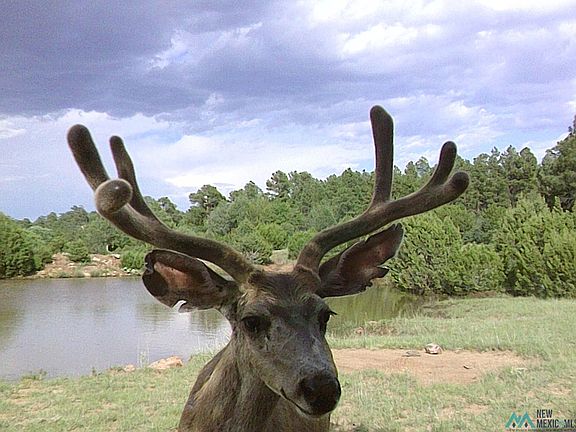 3rd image of 2 County Road 51