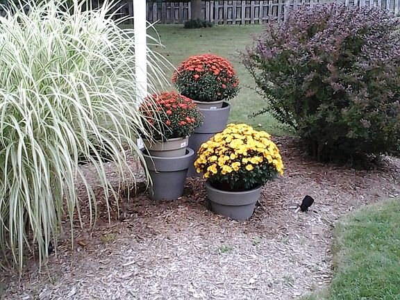 4th image of 24 Killdeer Ln