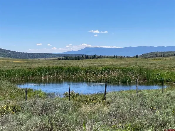 Lot 19 62X Road, Placerville, CO 81430