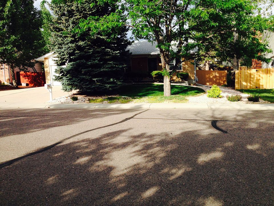 Mature Landscaping