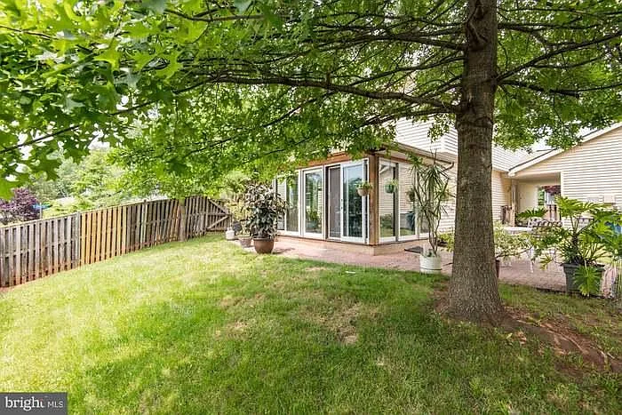 100 Elm Tree Ln — Photo 7