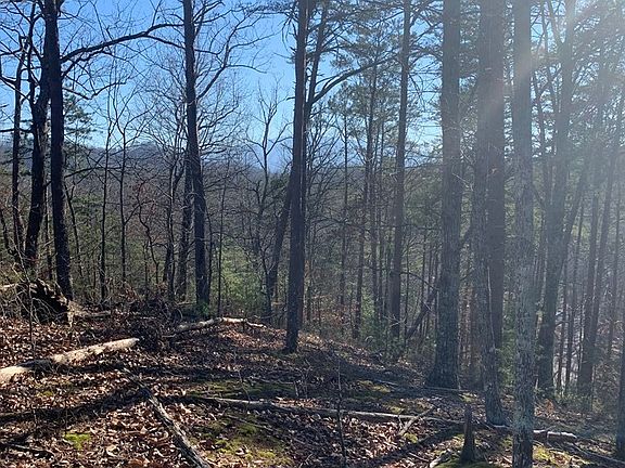5th image of 332 Dogwood Loop Dr Lot 32