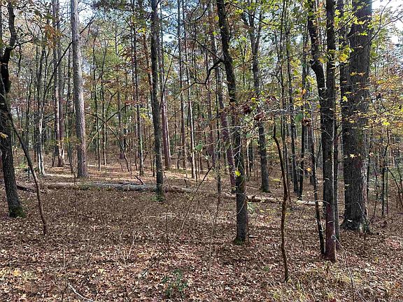 5th image of (Undisclosed Address)