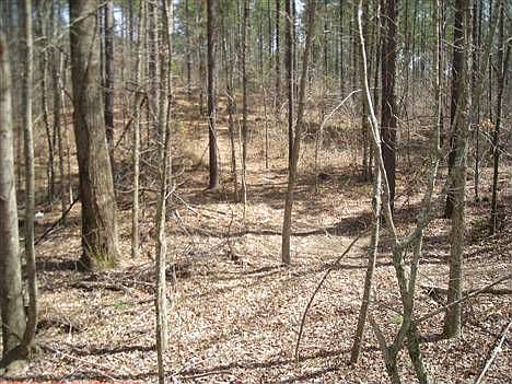 2nd image of 305 Wilderness Camp Rd