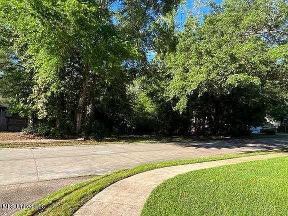 3rd image of 0 Magnolia Bayou Cir #14