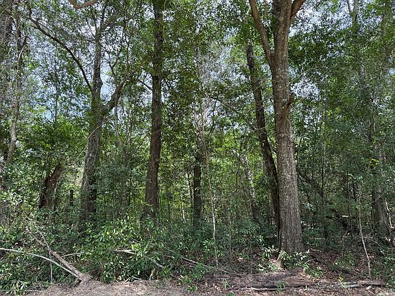 3rd image of Old Faceville Rd