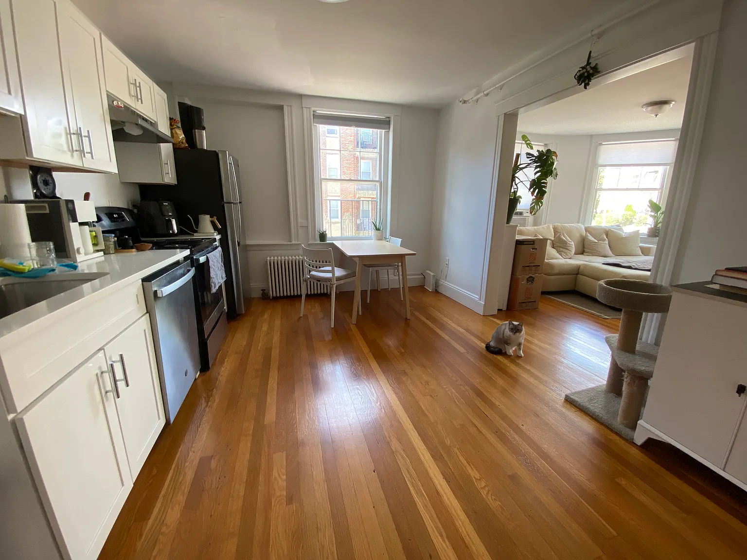 1 bed, 750 sqft, $2,600 — Photo 4