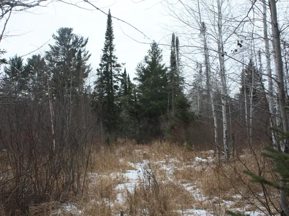 15XX Becks Rd, Maple, WI 54854