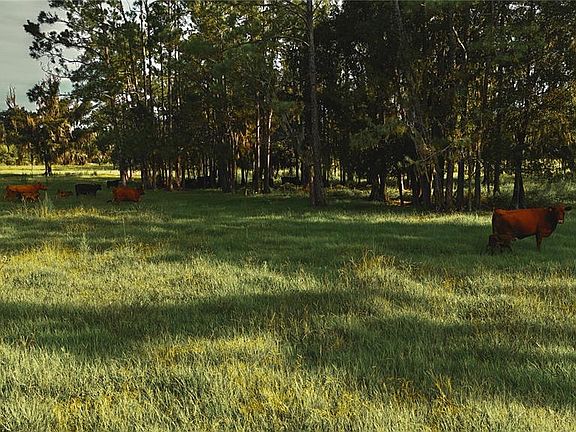 3rd image of 4802 NW 50TH ROAD