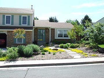 Front Yard 2008