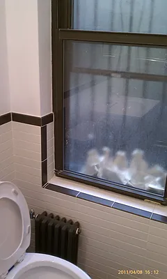 Rented by Alta Real Estate | media 73