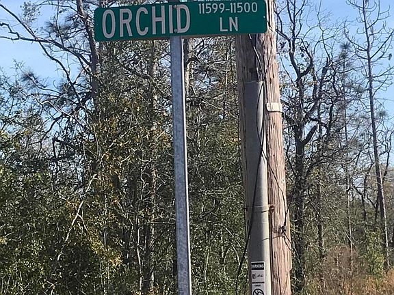 4th image of 11525 Orchid Ln