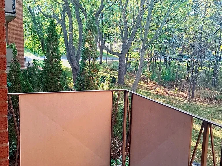 502 Nelson St #16 — Photo 14