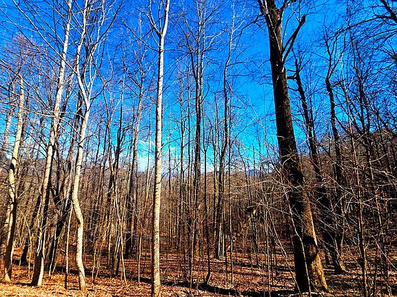 5th image of 160 Slippery Rock Rd