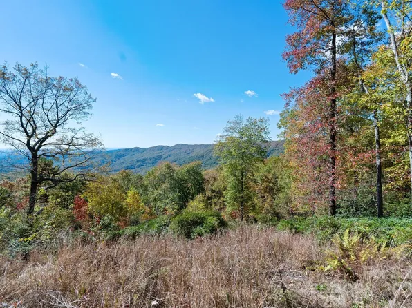 Sassafras #36, Rosman, NC 28772