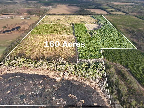 2nd image of Tbd Ne Duval Pond Rd