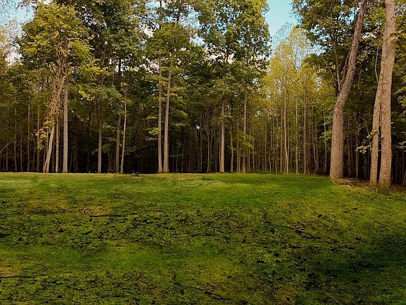 2nd image of 7962 Bill Moss Rd