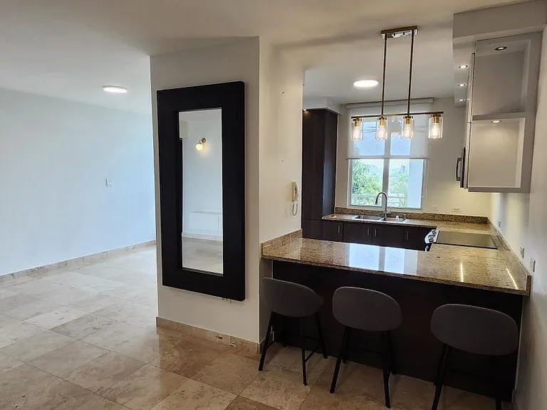 Cond Ridge Top Luxury 720 Ave San Ignacio Apt 1350 — Photo 5