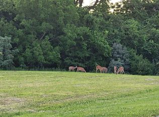 17065 Sandstone Dr, Carlyle, IL 62231