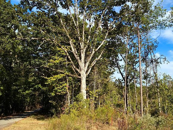 3rd image of Old Houston Rd