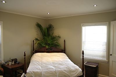 Master bed, two windows