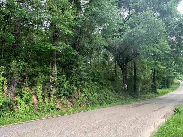 Sie Jenkins Rd, Bogalusa, LA 70427