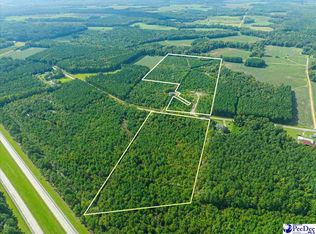 Tbd Timmons Rd, Timmonsville, SC 29161