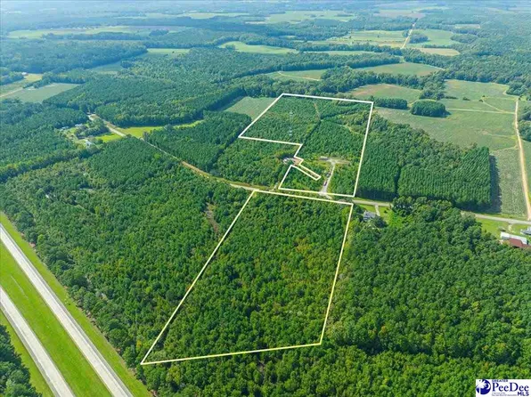 Tbd Timmons Rd, Timmonsville, SC 29161