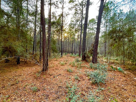 4th image of 1-1-31 Texas Grand Rd