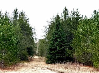 652 Phelps Rd NE, Kalkaska, MI 49646