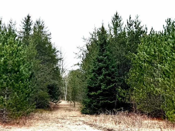 652 Phelps Rd NE, Kalkaska, MI 49646