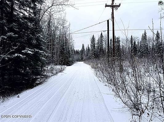3rd image of 0 Chena Hot Springs Rd
