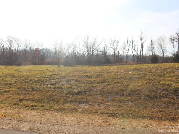 0 Lindsey Rd Unit 23, Jackson, MI 49201
