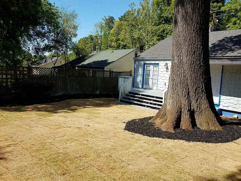 At the right back fence looking at the house