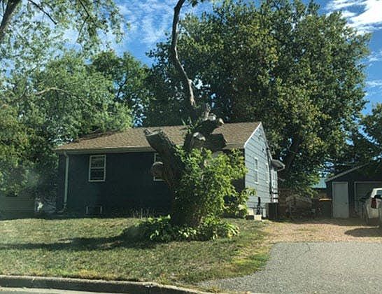 2nd image of 332 Charles St