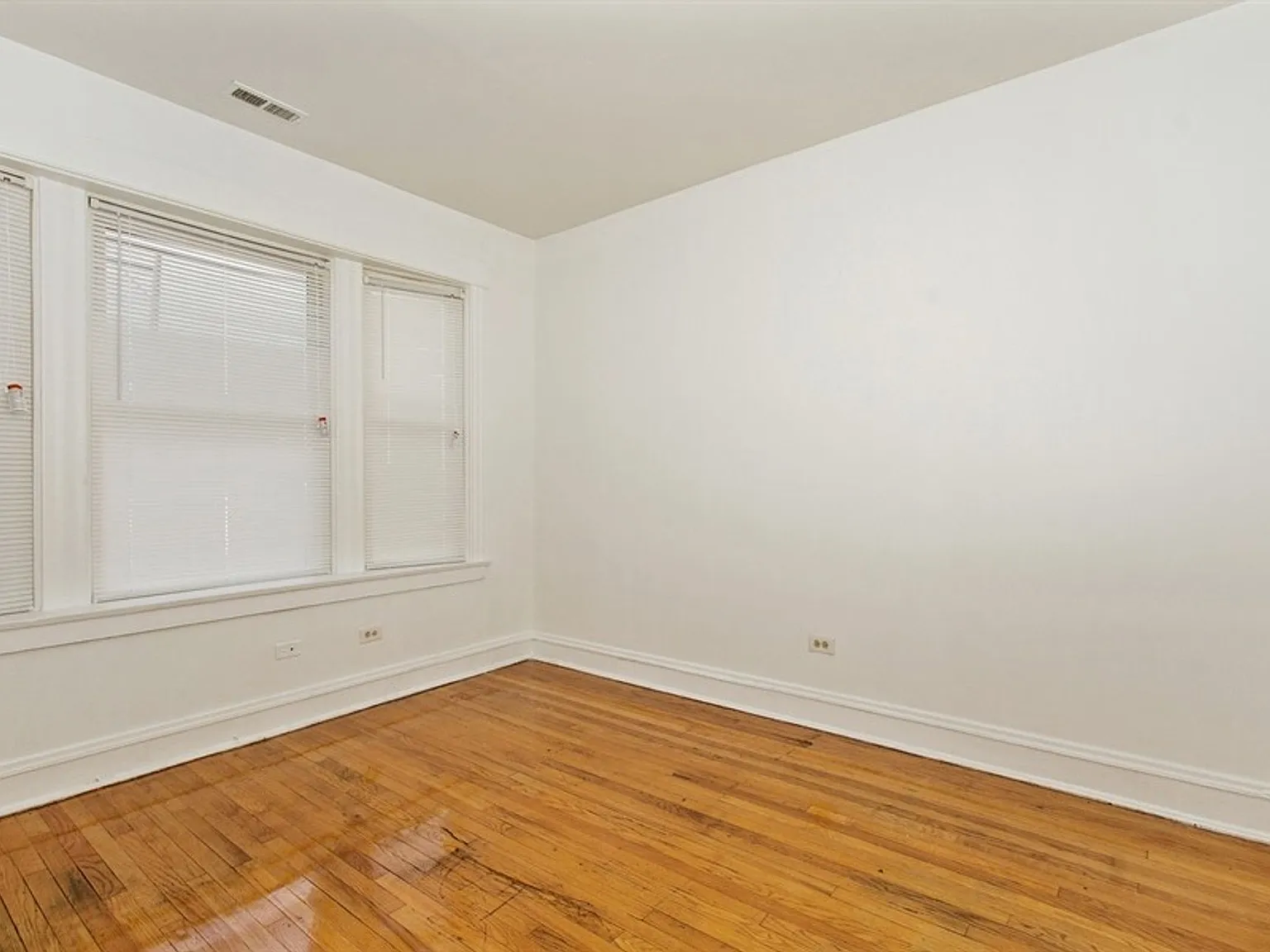 7657 S Morgan — Photo 3